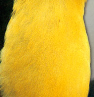 Find more great websites at ChaosCentral.us